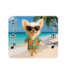 夏♡エッホエッホ チワワ（個別スタンプ：24）