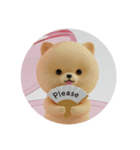 もふもふポメラニアンカプセルトイ（個別スタンプ：7）