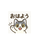 ねこやろー（個別スタンプ：1）