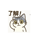 ねこやろー（個別スタンプ：3）