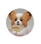 パピヨンカプセルトイ（個別スタンプ：2）