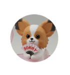 パピヨンカプセルトイ（個別スタンプ：7）