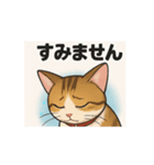 小麦猫スタンプ（個別スタンプ：7）