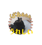 愛猫の日常スタンプ.Animation（個別スタンプ：10）
