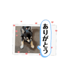 チクワのきもち13（個別スタンプ：1）