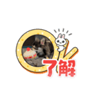 チクワのきもち13（個別スタンプ：3）