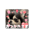 チクワのきもち13（個別スタンプ：6）