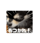 チクワのきもち13（個別スタンプ：7）