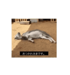 OH MY GOATS スタンプ（個別スタンプ：4）