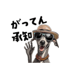 ロックで時々オネェなイタグレ（個別スタンプ：14）