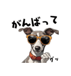 ロックで時々オネェなイタグレ（個別スタンプ：15）