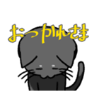 コハク（黒猫）（個別スタンプ：4）