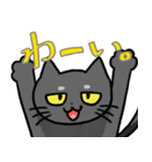 コハク（黒猫）（個別スタンプ：5）