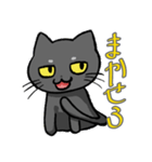 コハク（黒猫）（個別スタンプ：10）
