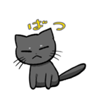コハク（黒猫）（個別スタンプ：12）