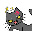 コハク（黒猫）（個別スタンプ：13）