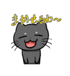 コハク（黒猫）（個別スタンプ：17）