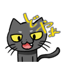 コハク（黒猫）（個別スタンプ：19）