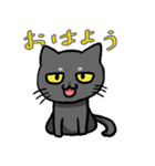 コハク（黒猫）（個別スタンプ：22）