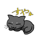 コハク（黒猫）（個別スタンプ：24）