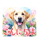 水彩感じるラブラドールのスタンプ（個別スタンプ：1）