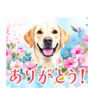 水彩感じるラブラドールのスタンプ（個別スタンプ：4）