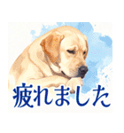 水彩感じるラブラドールのスタンプ（個別スタンプ：28）