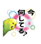 セキセイインコの普段使い 第3弾（個別スタンプ：4）