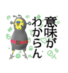 セキセイインコの普段使い 第3弾（個別スタンプ：5）
