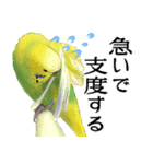 セキセイインコの普段使い 第3弾（個別スタンプ：9）