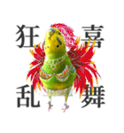 セキセイインコの普段使い 第3弾（個別スタンプ：16）