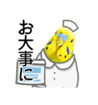 セキセイインコの普段使い 第3弾（個別スタンプ：18）