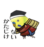 セキセイインコの普段使い 第3弾（個別スタンプ：21）