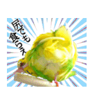 セキセイインコの普段使い 第3弾（個別スタンプ：23）