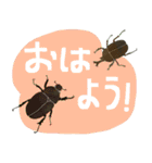 ゆるっと昆虫〜クワガタ・カブトムシ〜（個別スタンプ：5）