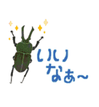 ゆるっと昆虫〜クワガタ・カブトムシ〜（個別スタンプ：14）