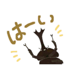 ゆるっと昆虫〜クワガタ・カブトムシ〜（個別スタンプ：16）