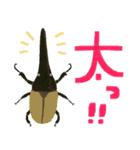 ゆるっと昆虫〜クワガタ・カブトムシ〜（個別スタンプ：17）