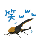 ゆるっと昆虫〜クワガタ・カブトムシ〜（個別スタンプ：19）