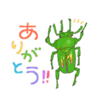 ゆるっと昆虫〜クワガタ・カブトムシ〜（個別スタンプ：27）