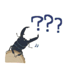 ゆるっと昆虫〜クワガタ・カブトムシ〜（個別スタンプ：29）