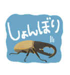 ゆるっと昆虫〜クワガタ・カブトムシ〜（個別スタンプ：30）