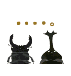 ゆるっと昆虫〜クワガタ・カブトムシ〜（個別スタンプ：36）