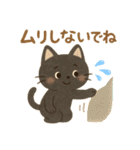 黒猫クロの毎日気軽に送れるスタンプ（個別スタンプ：14）