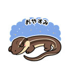 ゆるっと爬虫類たちの毎日スタンプ（個別スタンプ：5）