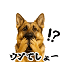 シェパード★即返信！毎日使えるスタンプ（個別スタンプ：20）