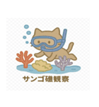 ネコの海遊び（個別スタンプ：37）