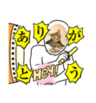 猫がいる毎日#猫#あいさつ（個別スタンプ：4）