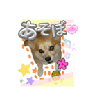 こはたんスタンプ@@（個別スタンプ：3）