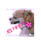 こはたんスタンプ@@（個別スタンプ：4）